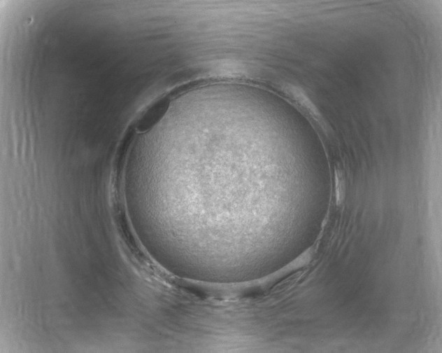 X0000068850579200605121411