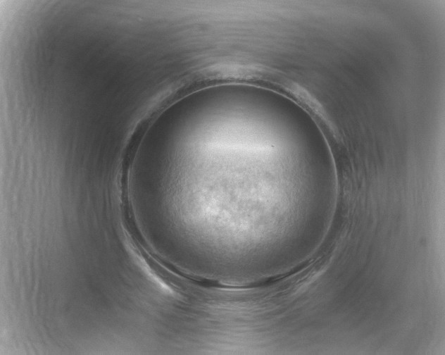 X0000068850581200605121411