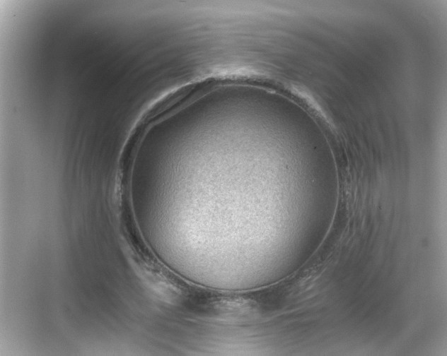 X0000068850583200605121411