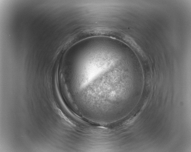 X0000068850585200605121411