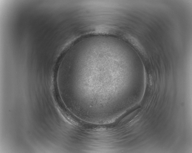 X0000068850588200605121411