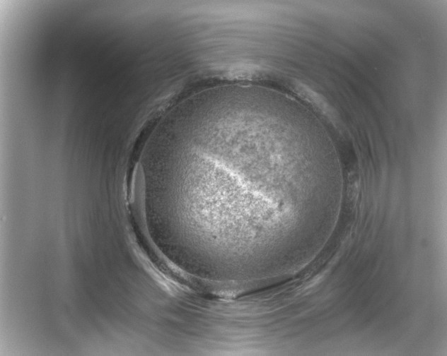 X0000068850589200605121411