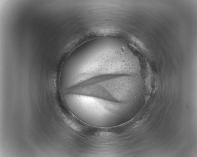 X0000068850590200605121411