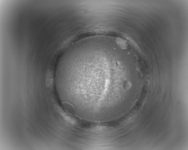 X0000068850593200605121411