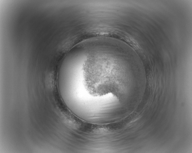 X0000068850594200605121411