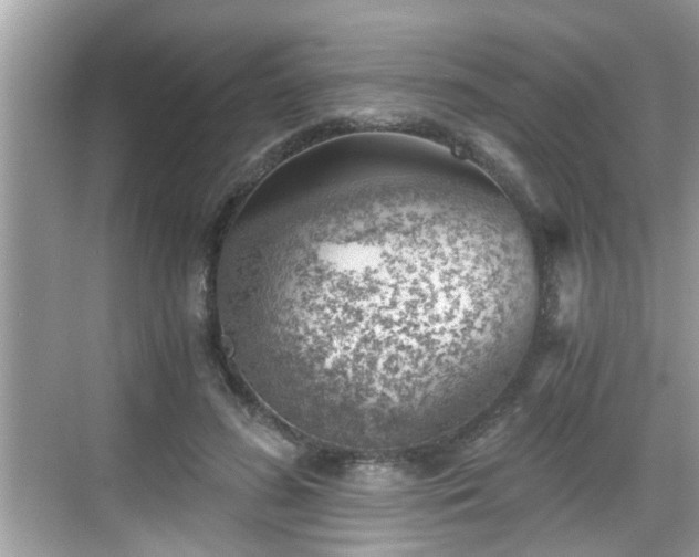 X0000068850596200605121411