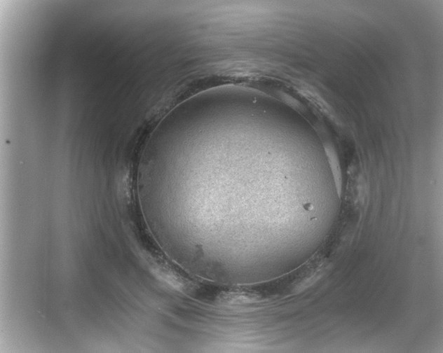 X0000068850597200605121411