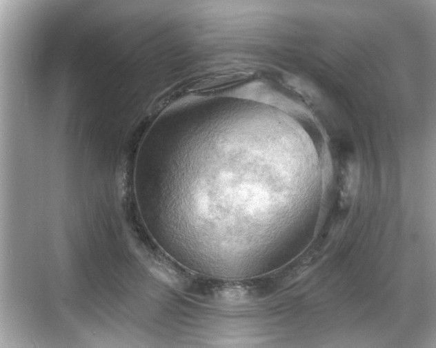 X0000068850600200605121411