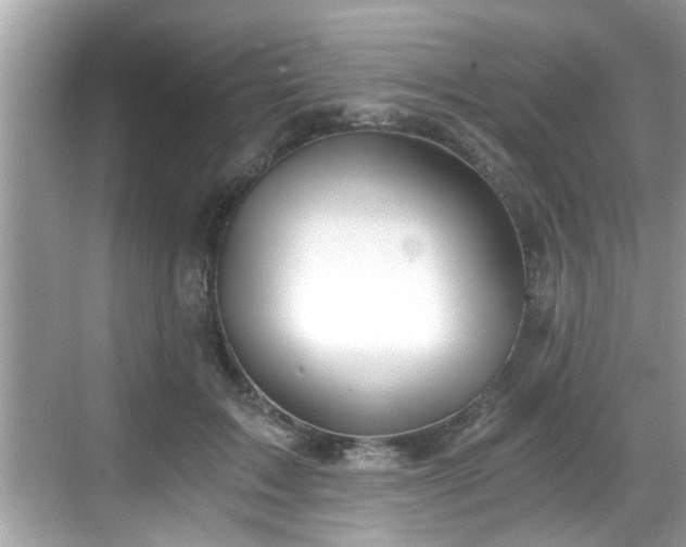 X0000068850603200605121411