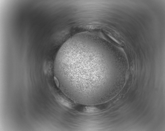 X0000068850605200605121411