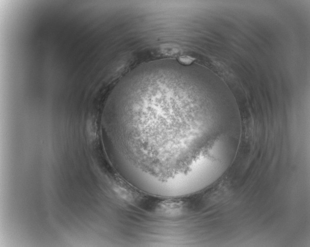 X0000068850606200605121411