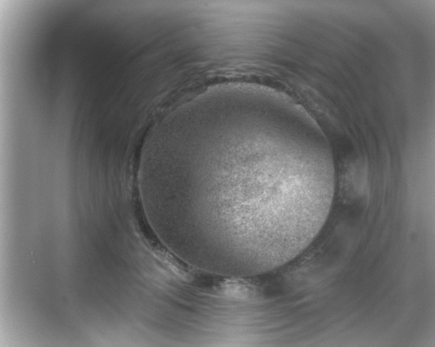 X0000068850608200605121411