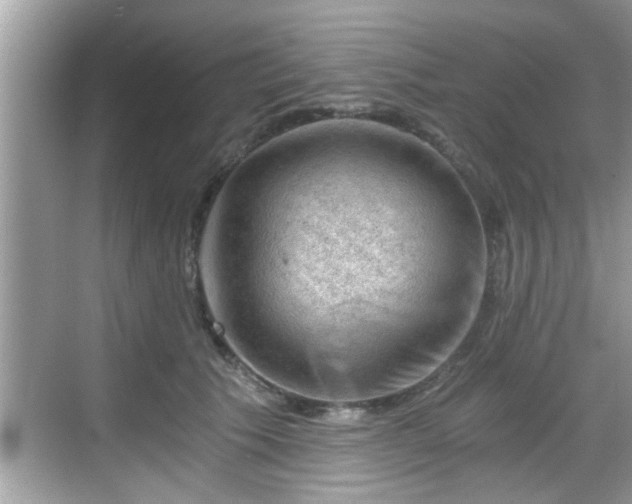 X0000068850609200605121411