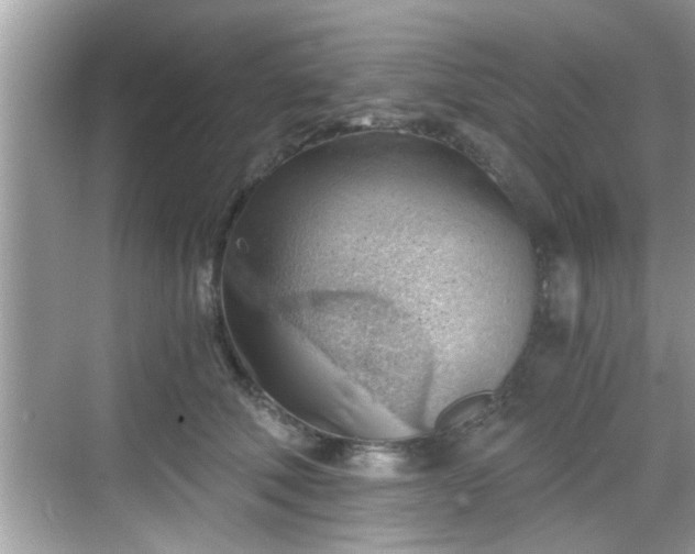 X0000068850610200605121411