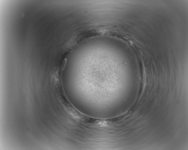 X0000068850611200605121411