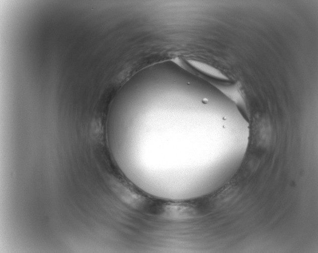 X0000068850614200605121411