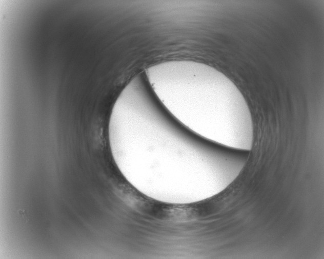 X0000068850615200605121411