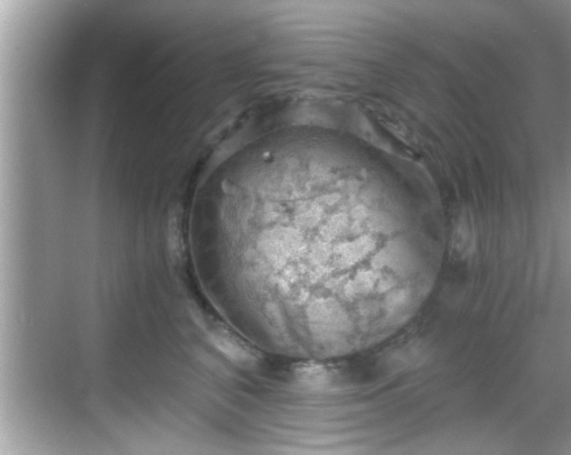 X0000068850616200605121411