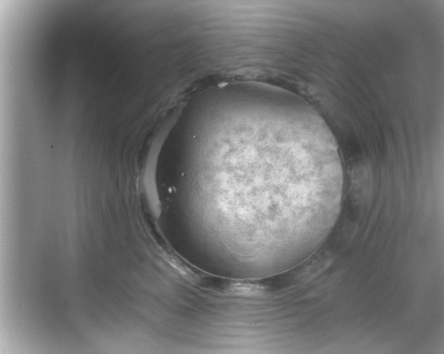 X0000068850617200605121411