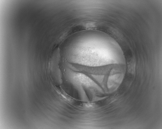 X0000068850618200605121411