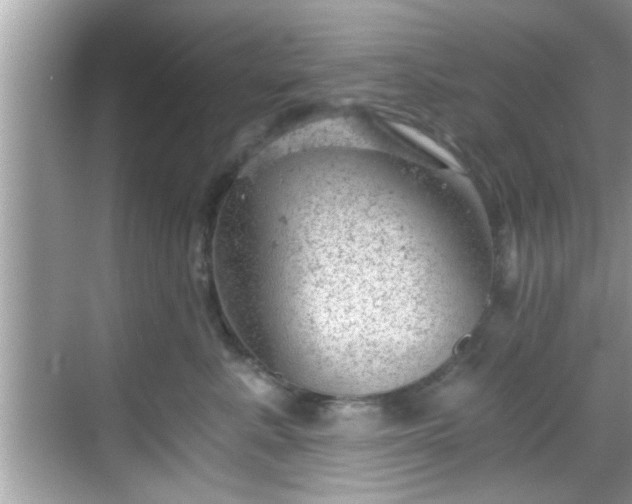 X0000068850619200605121411