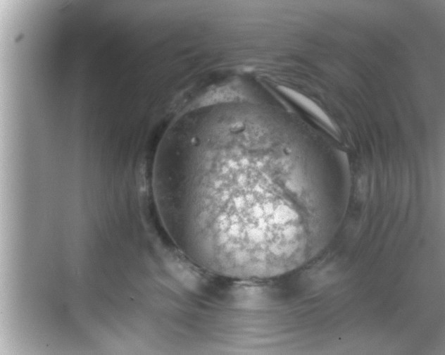 X0000068850620200605121411