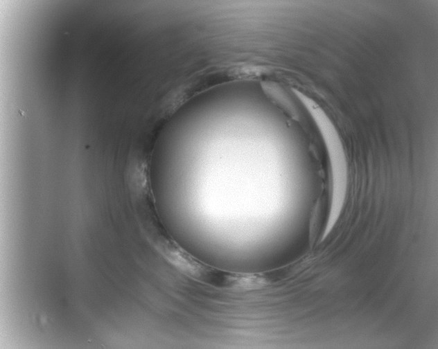 X0000068850621200605121411