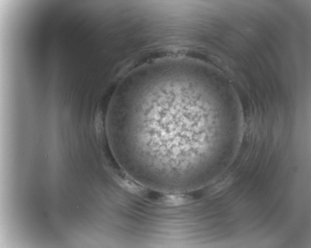 X0000068850623200605121411