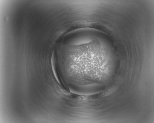 X0000068850624200605121411