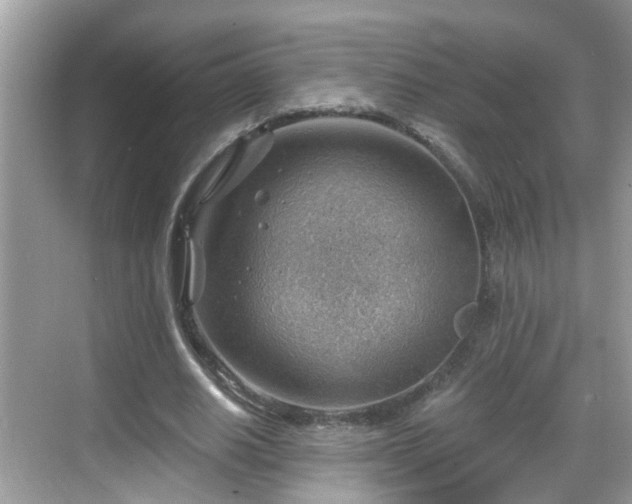 X0000068850630200605121410