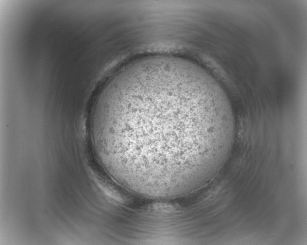 X0000068850636200605121410