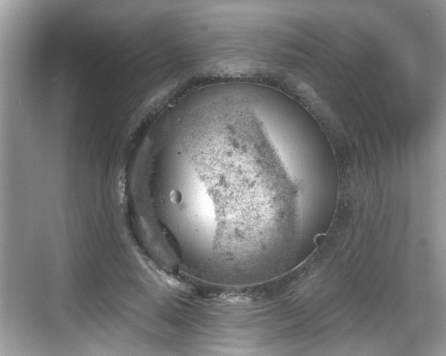 X0000068850640200605121410