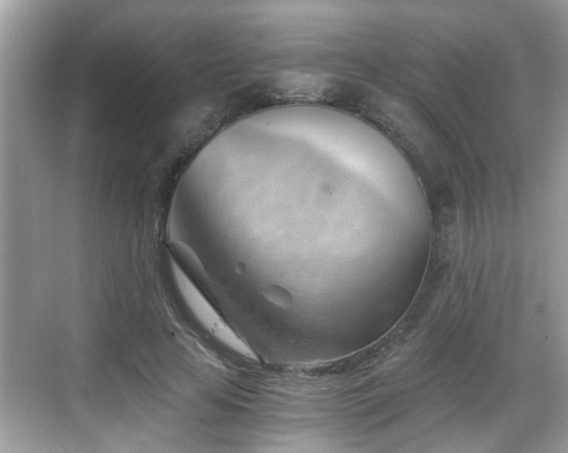 X0000068850641200605121410