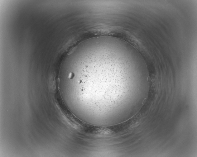 X0000068850642200605121410