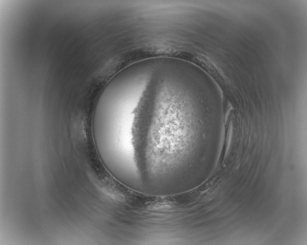 X0000068850643200605121410