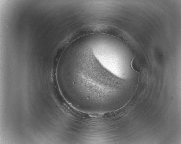 X0000068850644200605121410