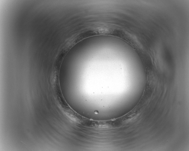 X0000068850645200605121410