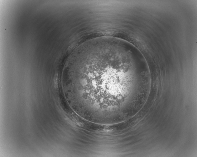 X0000068850647200605121410