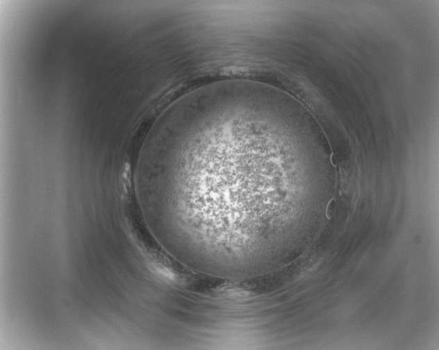 X0000068850648200605121410