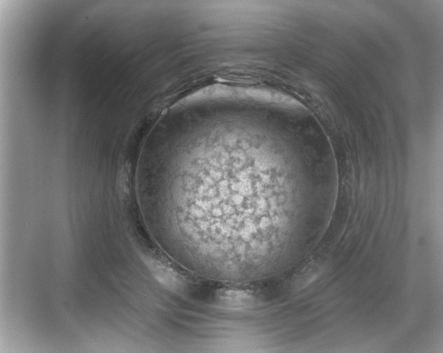 X0000068850649200605121410