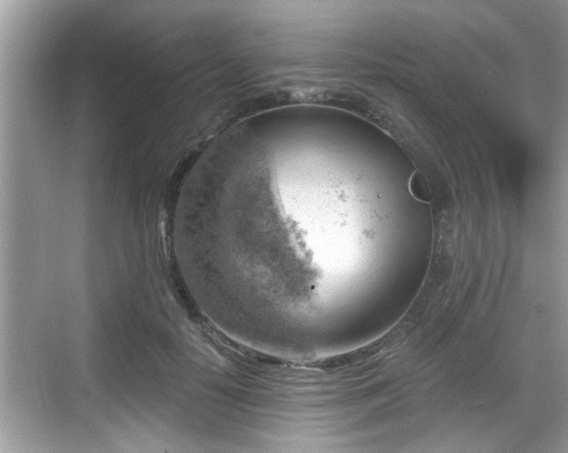 X0000068850650200605121410