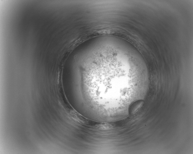 X0000068850652200605121410