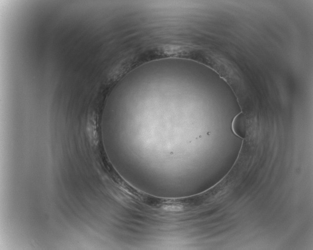 X0000068850653200605121410