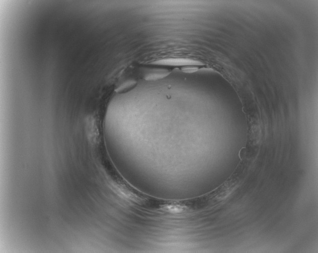 X0000068850654200605121410