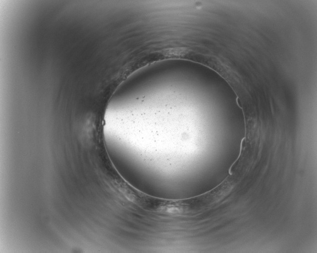 X0000068850655200605121410