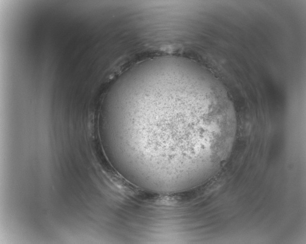 X0000068850656200605121410