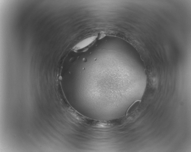 X0000068850657200605121410