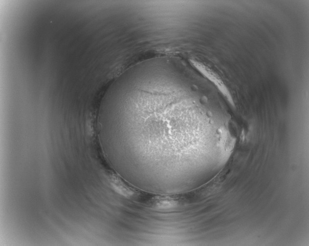 X0000068850658200605121410