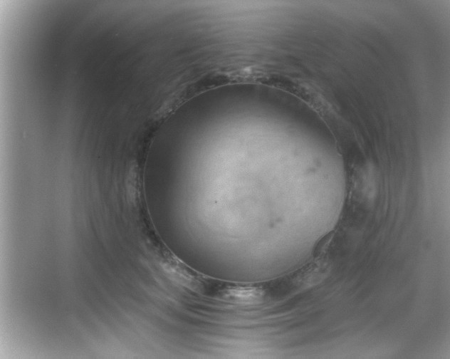 X0000068850659200605121410