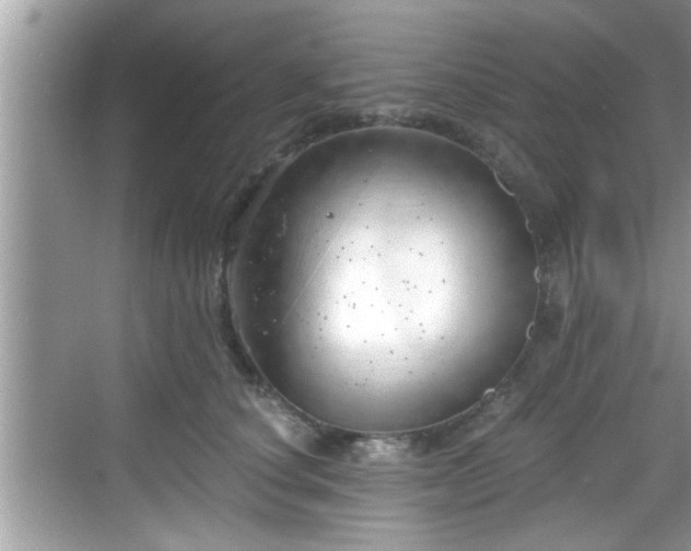 X0000068850660200605121410